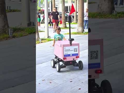 Kid vs delivery robot