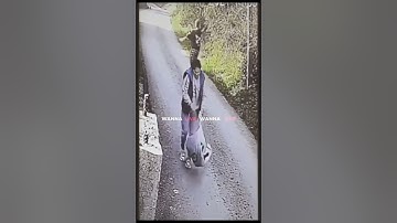 Most terrifying crimes caught on camera📸 #shorts #interesting