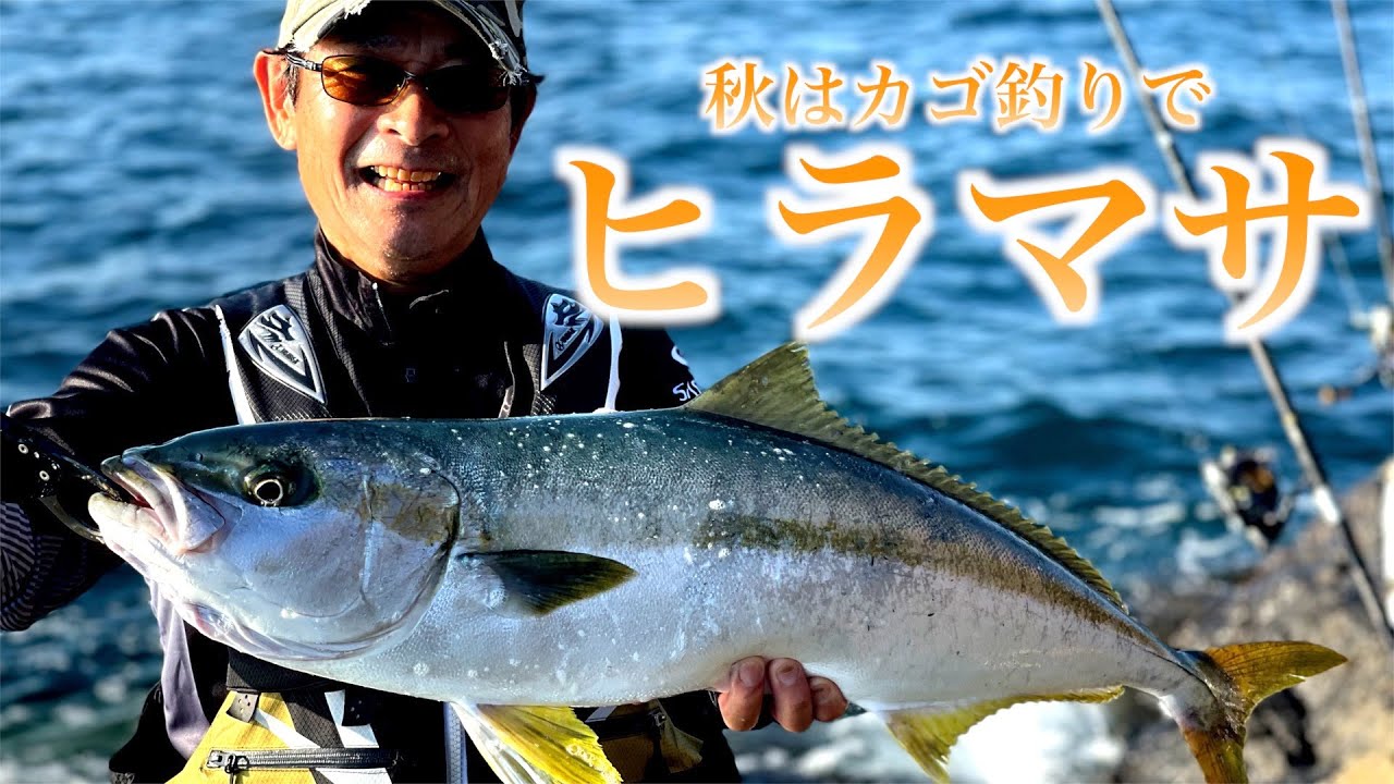 Cage fishing] Thrilling! Yellowtail fishing is so much fun it even