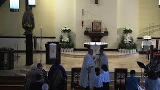 Sunday 11:00 am Mass 4/26/2026