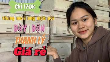 Thùng nuôi ong mật nội gỗ gạo tiêu chuẩn chất lượng dày dặn , ngâm và sử lý mối mọt chống cong vênh