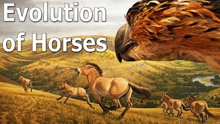The Truth of Horse Evolution  Part 1