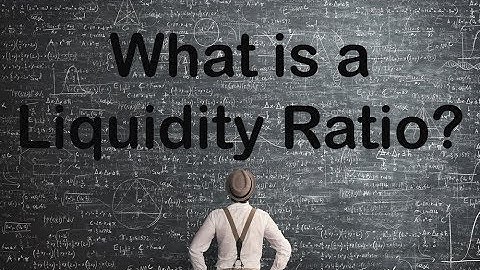 Lenn Mayhew Lewis - What is a Liquidity Ratio?