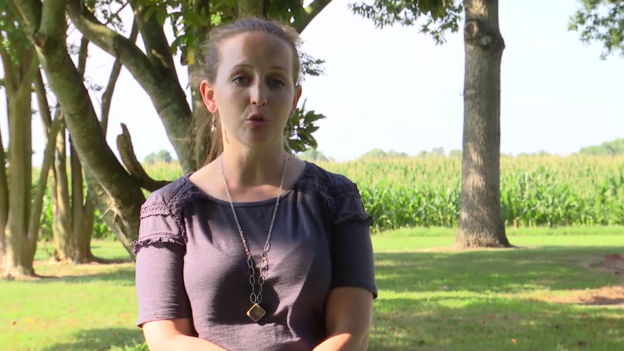 Accomack County Agricultural Close-up