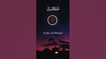 سورة الفيل تلاوة خاشعة بصوت القارى علاء عقل