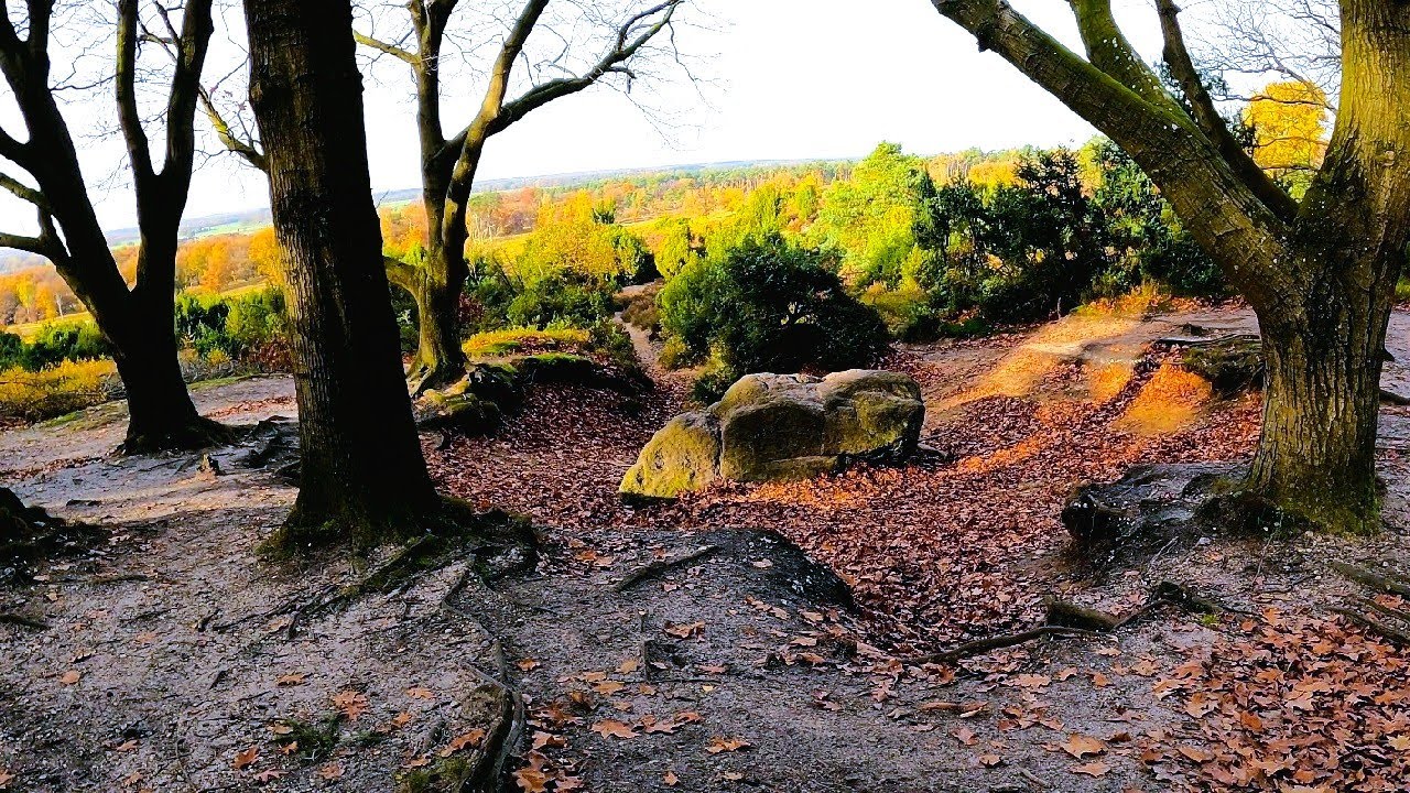 *HIKING* Weekly Walks - Lemele (Archemerberg & Lemelerberg, Solohiking)