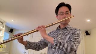 Tongue Ram - Extended Techniques for Flute, Alto Flute and Piccolo