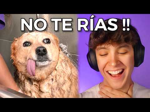 TRY NOT TO LAUGH #17