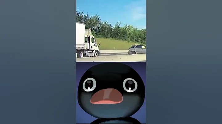 noot noot #shorts #meme #pingu