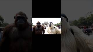 monkey vlogs #vlog #monkey