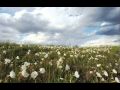 The Great Plains: A Journey Through Conservation and Wildlife Photography