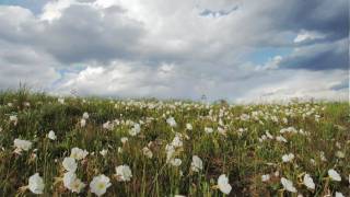 Discover America's heartland, the Great Plains