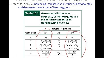 Lecture 19 - Population Genetics - Part 2