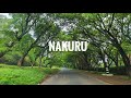 Calming Roadside Trees - Nakuru, Kenya.