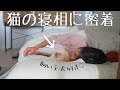 飼い主を大好きな猫の寝相が可愛すぎ！