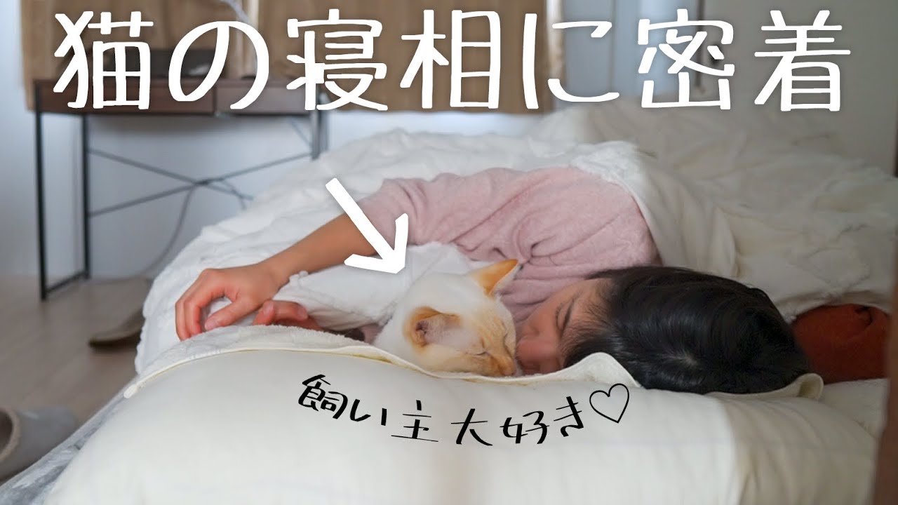 飼い主を大好きな猫の寝相が可愛すぎ！