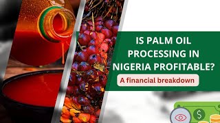 Is palm oil really a money-making machine? | Palm oil processing in Nigeria - a detailed breakdown 