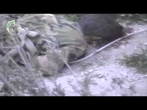 مصير احد شبية الاسد