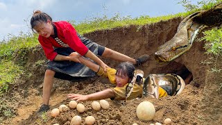 Horrified to discover a giant python monster attacking people - miraculous rescue Profile