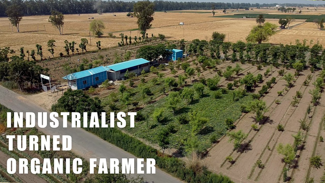 LUDHIANA'S INDUSTRIALIST EXPLORES HIS PASSION FOR ORGANIC FARMING YouTube