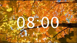 8 Minute Autumn Leaves Timer - LoFi Fall Leaves Classroom Countdown Timer