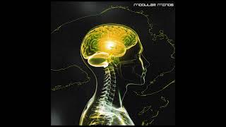Modular Minds | Expansive Techno Samples