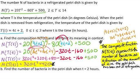 Real Life Application of Composite Functions  - Bacteria Count Video