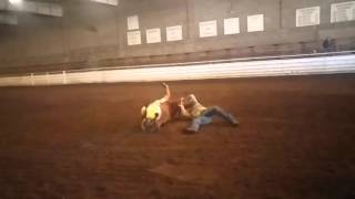 Fscc bull Doggin practice