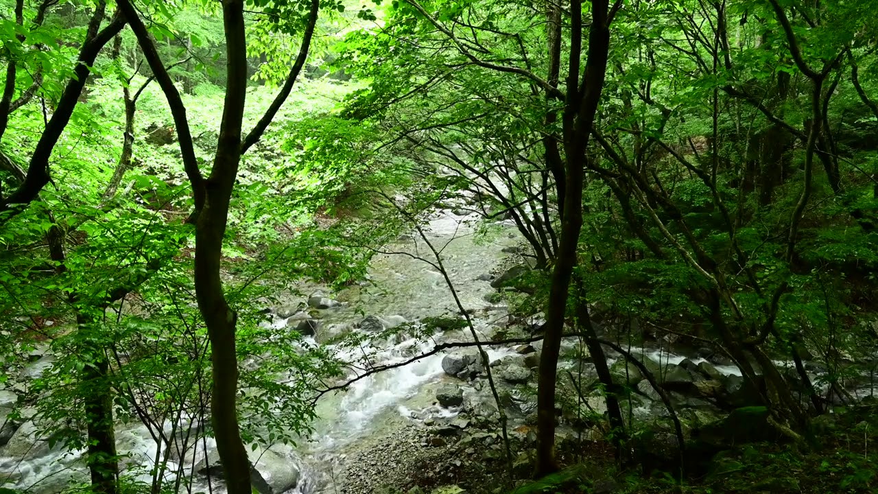 【癒しの音】4K自然音 川のせせらぎ🏞作業/睡眠/瞑想/読書BGM - YouTube