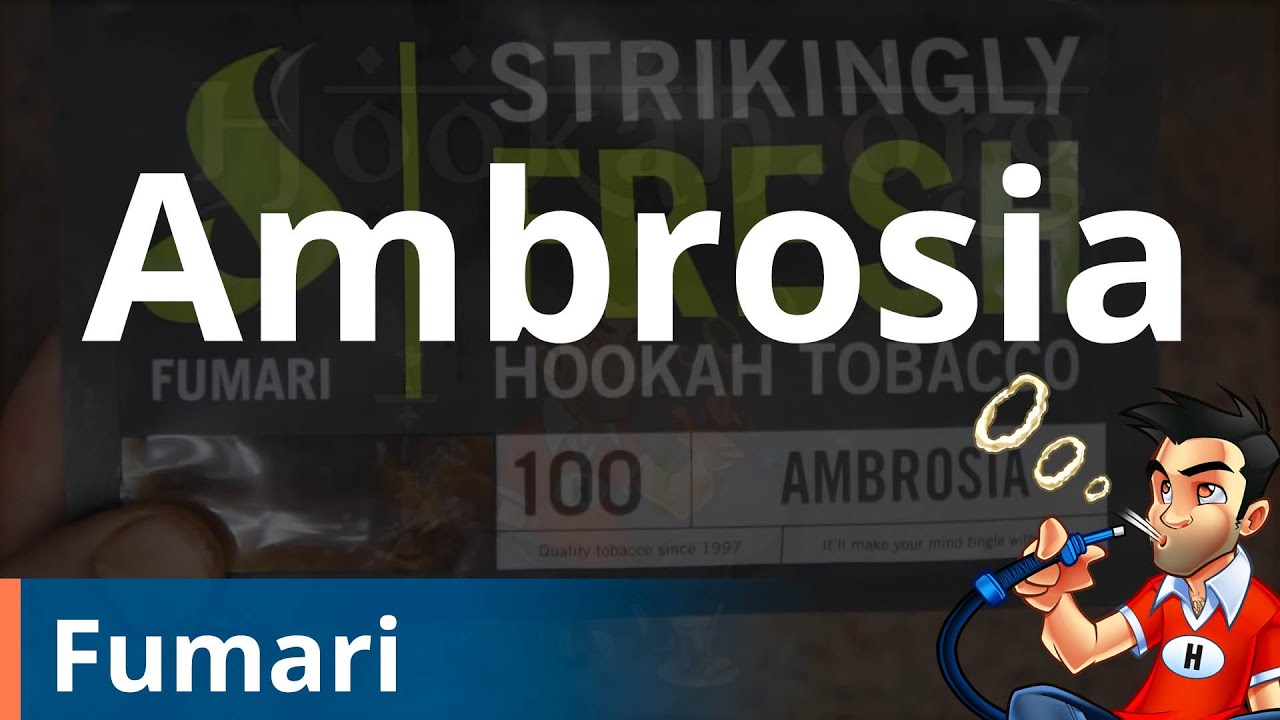 Fumari Ambrosia Shisha (Hookah) Review YouTube