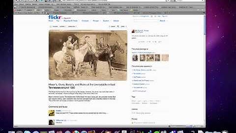 Creative Common and Public Domain Image Search