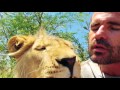 George Confronts Some BEES! | The Lion Whisperer