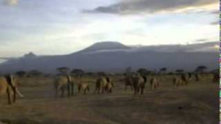 Out of Africa Main Title.mpg