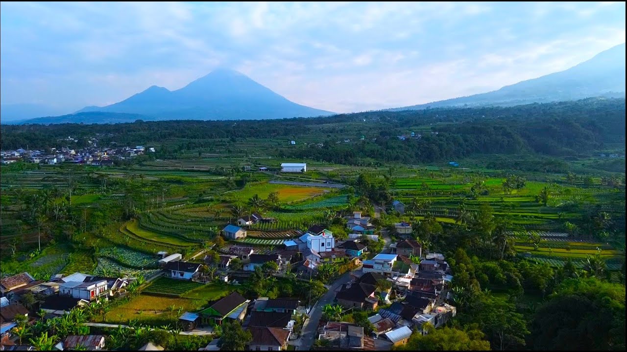 MARONGSARI, INDAH DAN SUBUR DI KAKI GUNUNG SUMBING