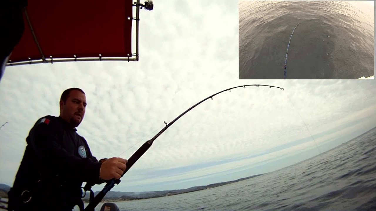 Top Shot Tonno in Top Shot YouTube