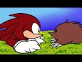 Knuckles meets an echidna