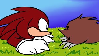 Knuckles Meets An Echidna