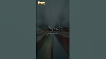 ويوم يعض الظالم على يديه #سورة_الفرقان #ياسر_الدوسري #trend  #explore #اكسبلور #trending #قرآن #لايك