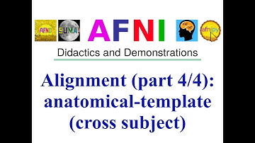 [AFNI Academy] Alignment (part 4/4): anatomical-template (cross subject)