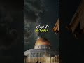 انا من هون جذري وشرشي فلسطيني مثل الزيتون شارع حارتنا الخربان احلى من باريس ابو جمعة وزريف 