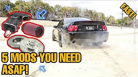 5 Mods You Need ASAP If You Own An 03/04 Terminator Cobra!