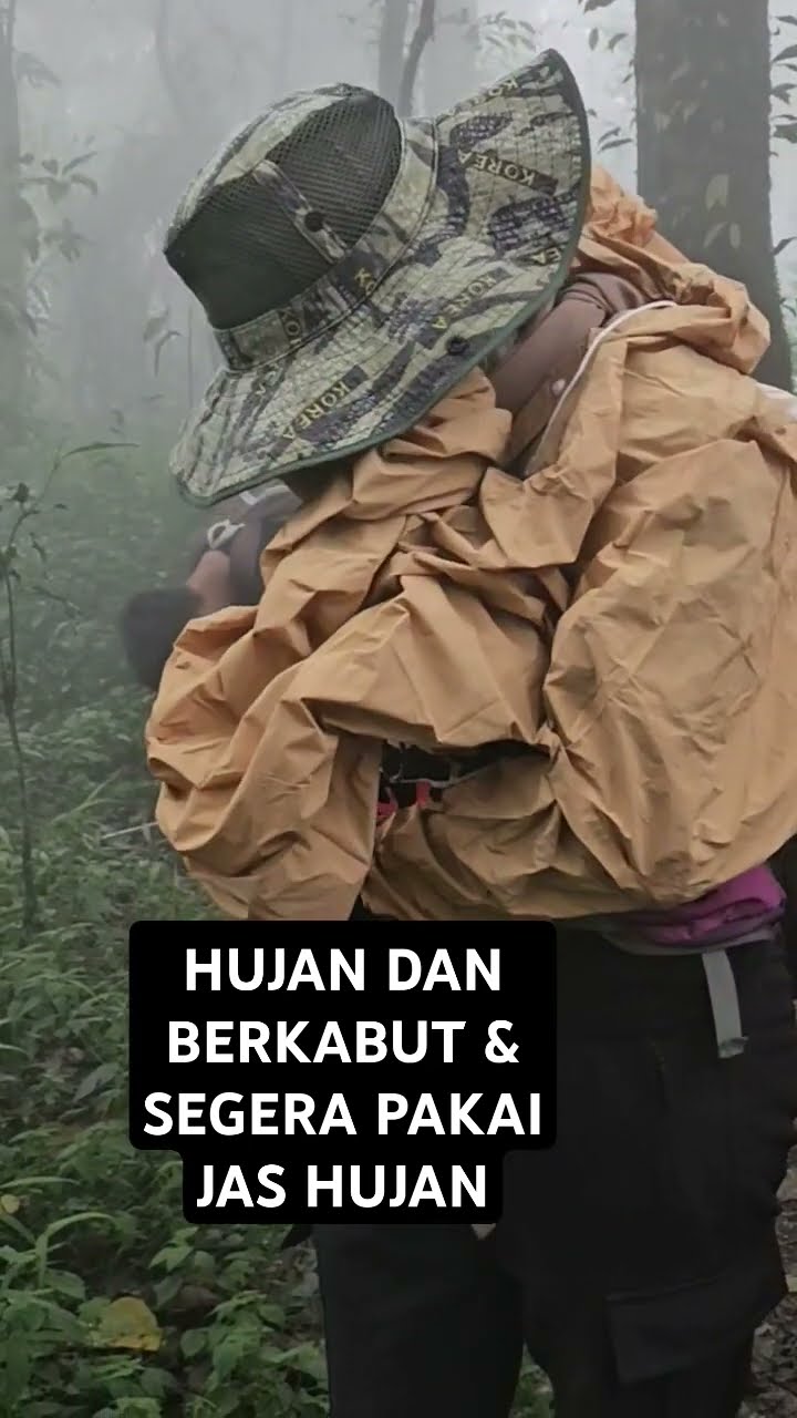 29 Januari 2025 Hujan Berkabut