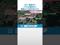 【石川・能美市でクマの目撃相次ぐ】半径500メートルで4件 市や警察がパトロール 注意呼び掛け #shorts