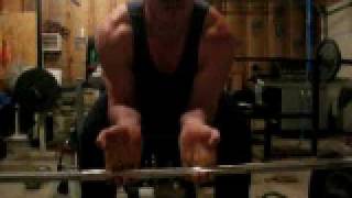 barbell wrist curls.AVI