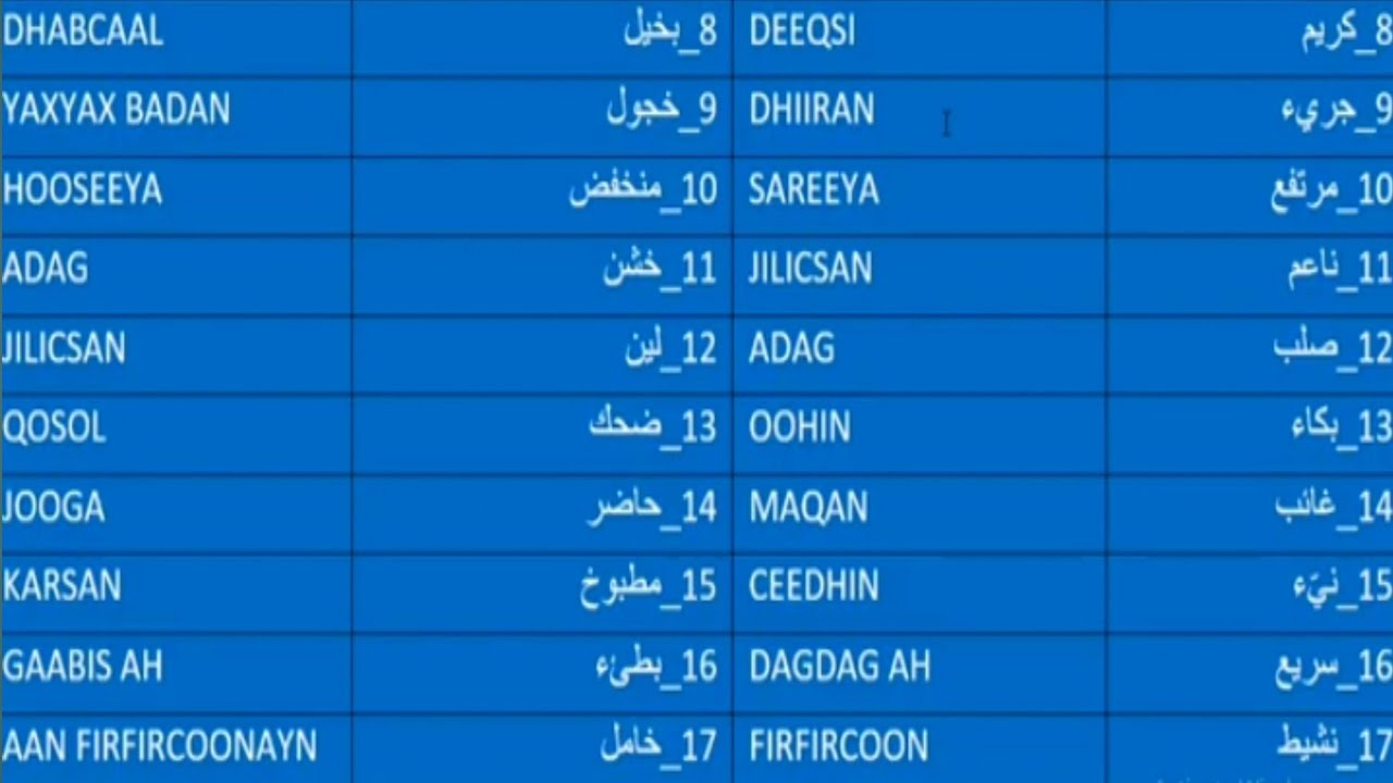 ERAYO CARABI AH OO ISKA SOO HORJEEDA(ERAYO LIDI ISKU AH) BARO LUUQADA CARABIGA AH @KadiyeChannel