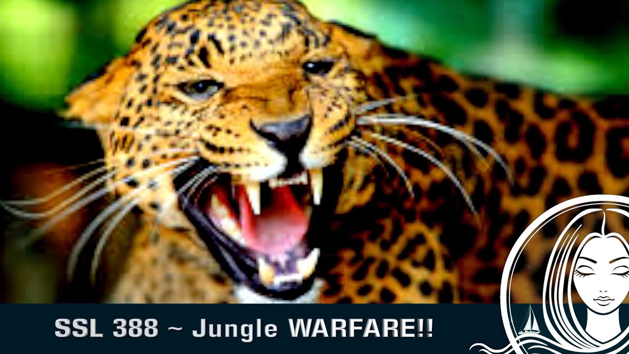 SSL 388 ~ Jungle WARFARE!!