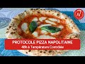 Protocole pour pizza napolitaine  48h  temprature contrle