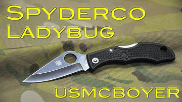 Spyderco Ladybug Review - "This Bug Cuts!"