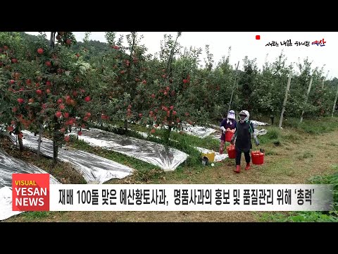 11월 1주차 [비주얼예산뉴스]