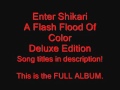 12. Sssnakepit (Hamilton Remix) - Enter Shikari